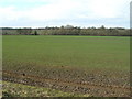 Farmland, Westhorpe Dumble in NG25 0QZ