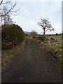 Footpath to Pendleside Close in BB7 9UY