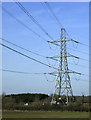2010 : Electricity pylon west of Chippenham in SN14 0RF