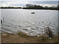 Colwick Country Park in NG4 2ES