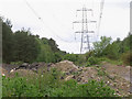 Power lines running west through Cloven Hill Plantation in SP5 2PX