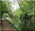 Grand Union Canal towpath Apsley to Hemel Hempstead in HP3 9GD