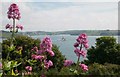 The mouth of the River Fal in TR11 4LP