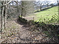 Footpath in Rivelin Valley Nature Reserve in S10 5AF