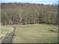 Footpath to Rivelin Valley near Tofts in S6 6DH
