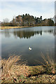 Fishing Lake, Normanby Hall Country Park in DN15 9HU