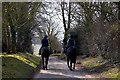 Racehorses exercising on the bridleway in OX12 8QS
