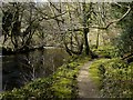 Footpath alongside the Afon Nyfer (2) in SA42 0LY