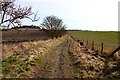 Track by East Lockinge in Ardington
