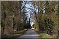 The road to Ardington in Ardington