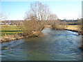 The River Avon and water meadows at Amesbury in SP4 7AD