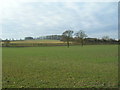 Farmland near Tophouse Farm in NG5 8PE