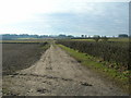 Farm track near Tophouse Farm in NG5 8PE