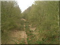 Disused Railway in NG15 8FH