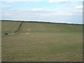 Farmland near Cottage Farm in NG22 8JE