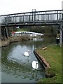 Swanning around on the canal in CV21 1TF