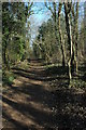 Footpath, The Warren in BS21 6YJ