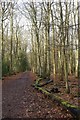 Harrocks Wood Footpath in WD3 4LN