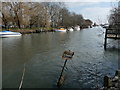 Christchurch - River Avon in BH23 1BL