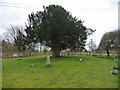 Stoke Charity - Churchyard in SO21 3PS
