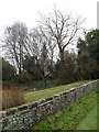 Greatham Church as seen through the trees in RH20 2ET