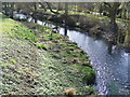 River Stort in Castle Park in CM23 2SJ