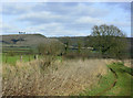 2010 : Footpath near Netherstreet in March in SN15 2DW
