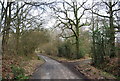 Roger's Rough Rd in Shearnfold Wood in TN17 2SB