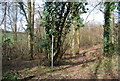 Footpath off Roger's Rough Rd in TN17 2SB