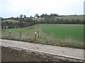 Footpath to St. Mary's Church, Crundale in Crundale