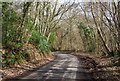 Bend in Roger's Rough Rd, Park Wood in TN17 2RD