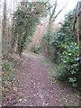 Bridleway in Hurst Wood in TN25 5JE