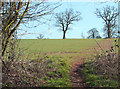 Bridleway near Gatacre Green, Shropshire in WV5 7AN