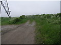 Pylon and Path in NG19 8TR