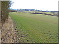 Arable land south of Cossall in NG9 3QQ