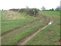 Byway and footpath junction near Smeed Farm in TN25 5HQ