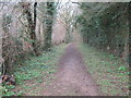 Woodland Track to Elvington Lease in TN25 5HZ
