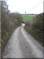 Lane to Pett Bottom in TN25 6BH