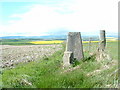 Knox Hill Trig Point in DD10 0PH