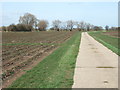 Strawberry rows next to a concrete road in PE34 4HD