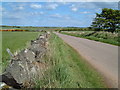 Dry Stane Dyke & Road near Mill of Barras in AB39 2UB