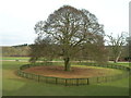 Rufford Abbey Parkland in NG22 9DD