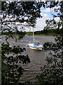 Beaulieu River from the riverside walk in SO42 7YJ