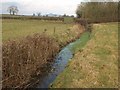 Drainage channel near Leigholt Wood in BA16 0SU