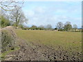 Pastoral Warwickshire in CV37 0HW