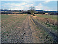 Footpath to Strelley Park Farm in Cossall