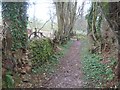 Footpath near Otterton in EX9 7DW