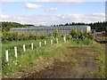 Greenhouse and Polytunnels in S44 6SX