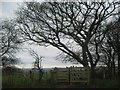 Kissing Gate on North Downs Way near Cold Blow Farm in TN25 5HF