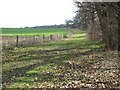Path along the northern edge of the chalk pit in NR14 8SH